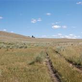 *Upper Nicola Indian Band Chilihitzia Field front