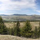 Johvale Stables - Equestrian Level 3 Course