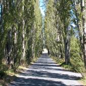 STREET - Lombard Road