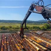 Western Forest Products Cowichan Bay Sawmill