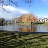 Dallas Road Duck Pond