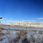 Cactus Country Farm 110 Roads ALL JANUARY