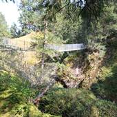 Haslam Creek Suspension Bridge
