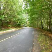 Woodburn Road