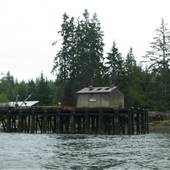 Quatsino Government Dock