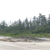 Wickaninnish Beach - PRNP