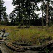 Driftwood Marine Park