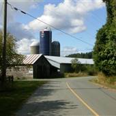 Northey Lake Farm