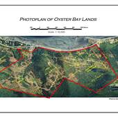 Oyster Bay Property