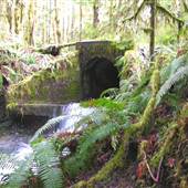 C.N.P.R Rail Road Grade Tunnel Ruins