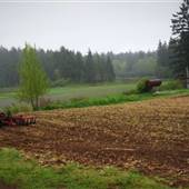 McNab's Farm