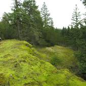 CBC Hill