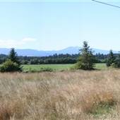 Beaver Meadow Farm