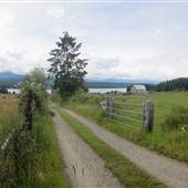 Lone Pine Farm