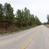 Westsyde Road - Treed Sides