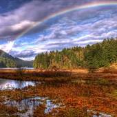 Goldstream Provincial Park
