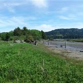 *Salmon River Estuary