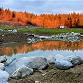 Production Playground