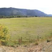 Whispering Pines Clinton Indian Band Fields