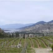 SEE YA LATER RANCH WINERY