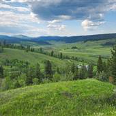 Poison Lake Road at Meadow Lake Road