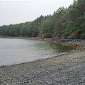 Andover Beach