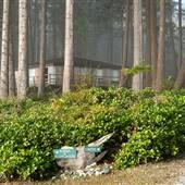 Hollyhock Cabins/grounds