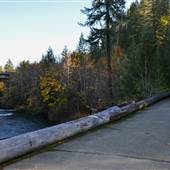 Sproat Lake Bridges