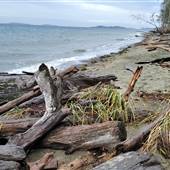 Rathtrevor Beach Park - North End