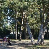 Danbrook Park and Off-Leash Area