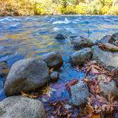 Puntledge River (Puntledge Park)