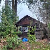 Rustic Rundown Log Cabin