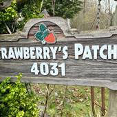 Strawberry’s Patch