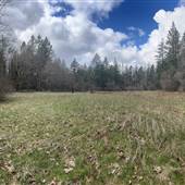 Macham Road - 85 Private Acres