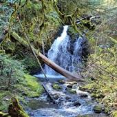Shooting Star Falls