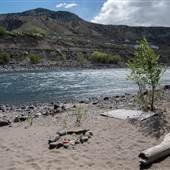 Ashcroft Indian Band 106c Muscle Beach along Thompson River