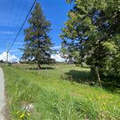 Padgett Road