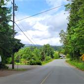 Dick Avenue