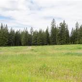 Mt Lolo Clearing, Roads & Trails