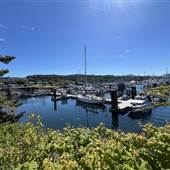 Port McNeill Fuel Dock and Marina
