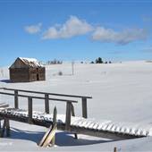 Kullagh Road Grasslands - WINTER