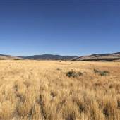 Merritt Saunders Field Airport Grasslands area
