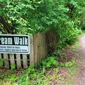 Nanaimo Fish Hatchery Stream Walk