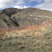 *Ashcroft Indian Band 107c Cornwall Creek Ravine West near Log Cabin Remnants