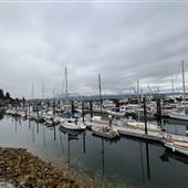 Malcolm Island Lions Harbour