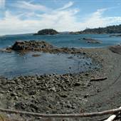 Neck Point