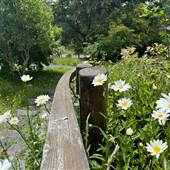 Triangle Gardens