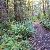 Palm Beach Trail