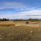 Tunkwa Lake Road FALL