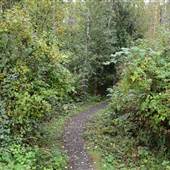 Roger Creek - from Alberni Highway/Maebelle Street